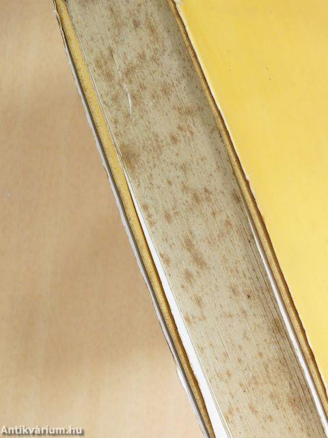 Bolondóra/Mennyei csavargók