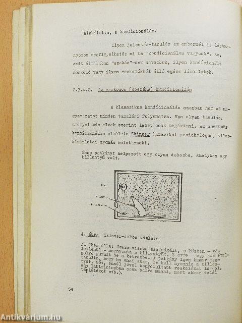 Nevelési alapismeretek I.