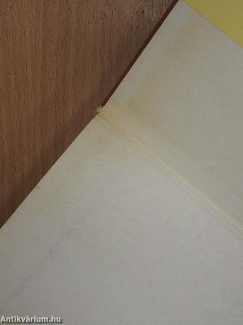 A párizsi Notre-Dame 1482