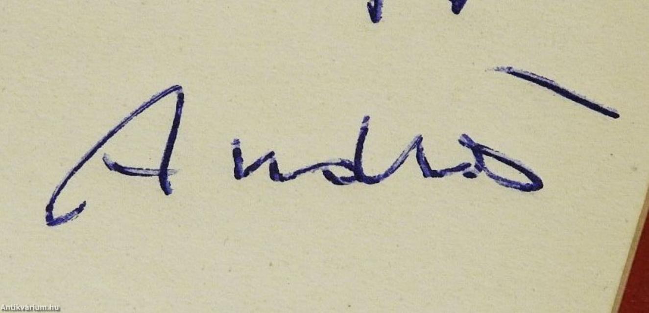 Torlódó idő (dedikált példány)