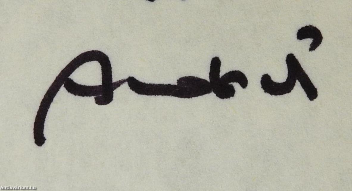 Megkérdeztük... (dedikált példány)