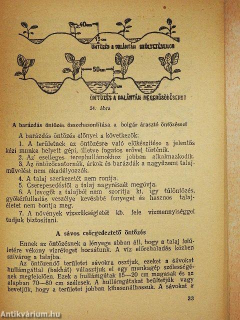 Öntözéses zöldségtermelés