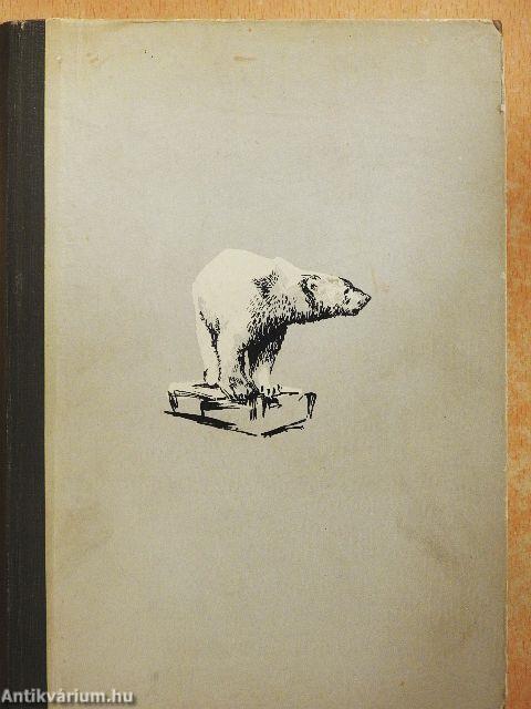 Kalandozások a sarkvidéken