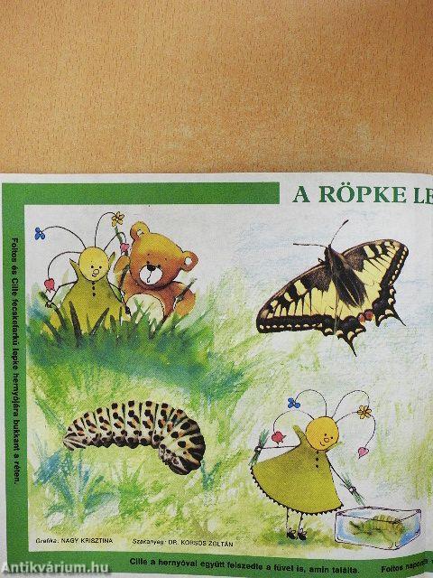 Dörmögő Dömötör 1989. június