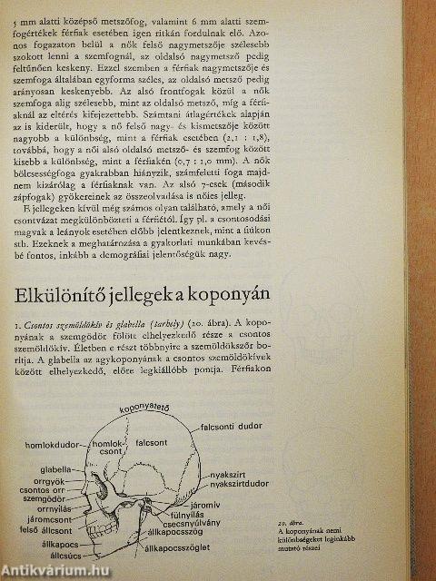 Sírok, csontok, emberek