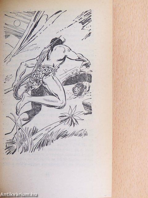 Tarzan a vadember
