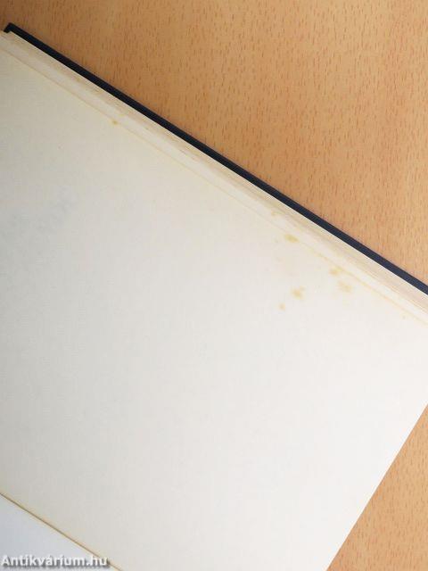 Miskolci Bonnie és Clyde