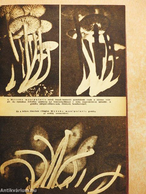 Egyedi válogatás az Univerzum c. folyóiratból (6 db)