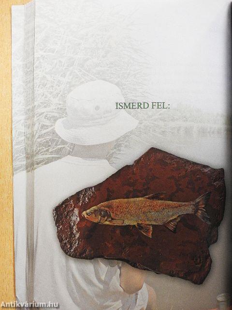 A Balaton halairól gyerekeknek