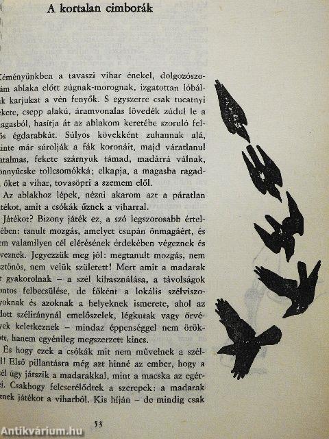 Salamon király gyűrűje