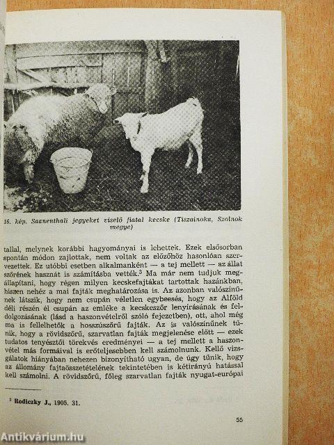 Népi kecsketartás Magyarországon