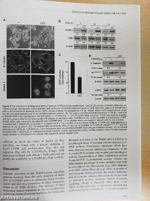 Endocrine-Related Cancer March 2007