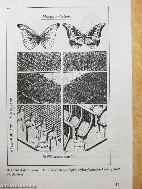 Kezdetben volt az információ