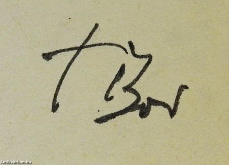 Igor hazatér (dedikált példány)