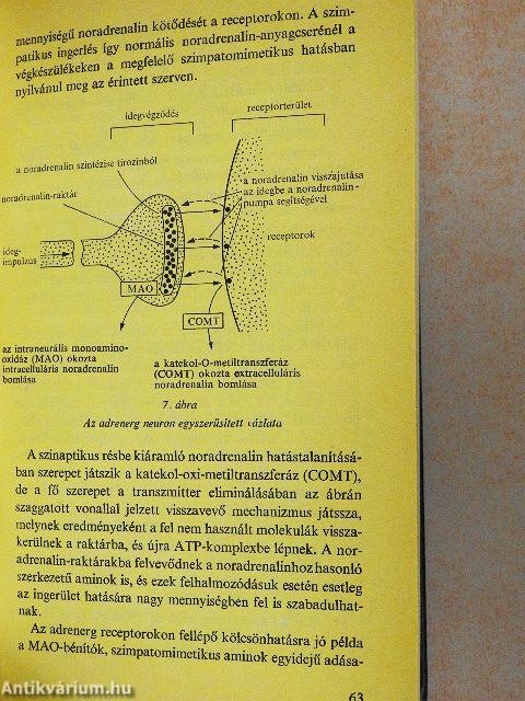 Gyógyszerkölcsönhatások