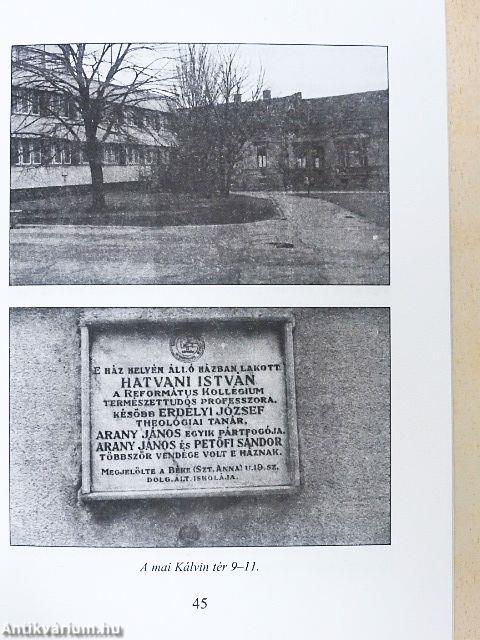 A Petőfi és a Szendrey család