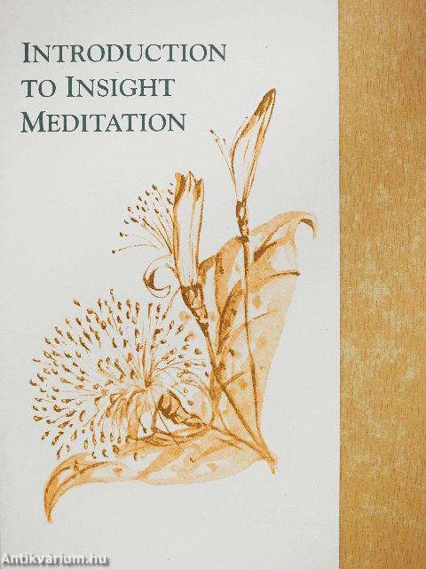 Introduction to Insight Meditation