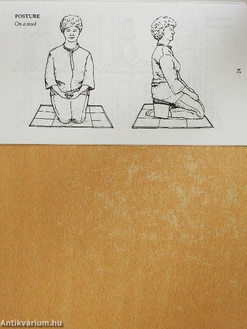 Introduction to Insight Meditation