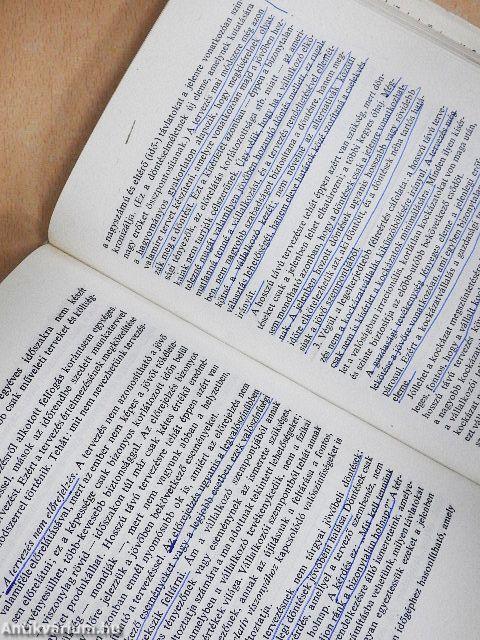 Az amerikai business