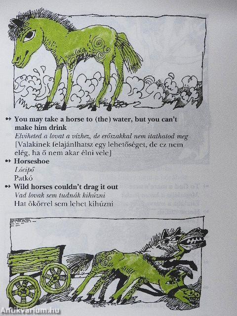 Képes angol szólásszótár