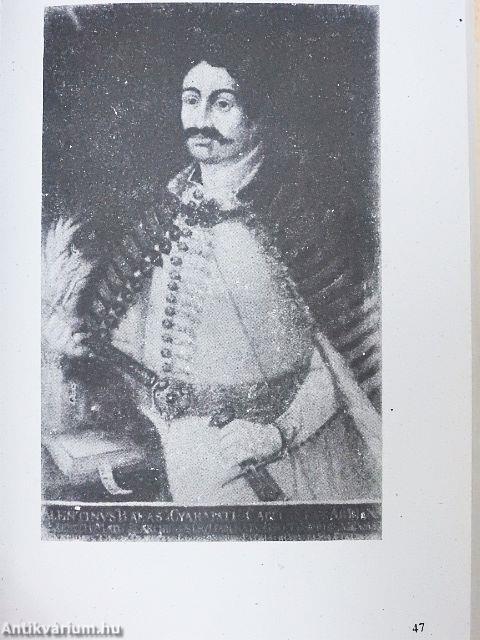 Magyar hadfiak és vitézek lexikona