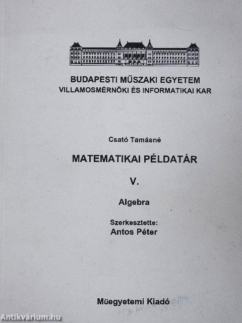 Matematikai példatár V.