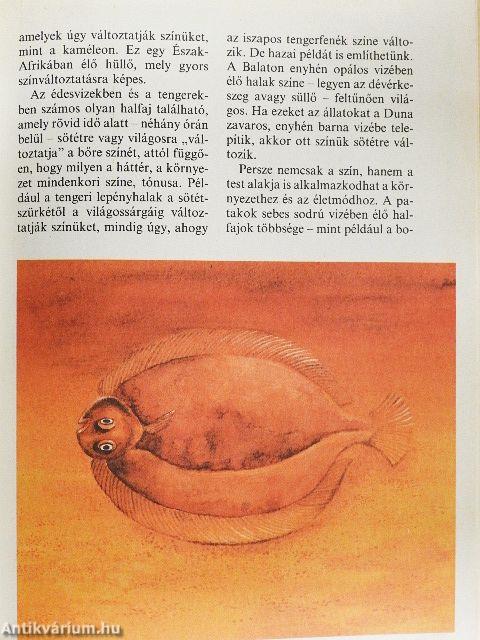 Bölcső a víz alatt