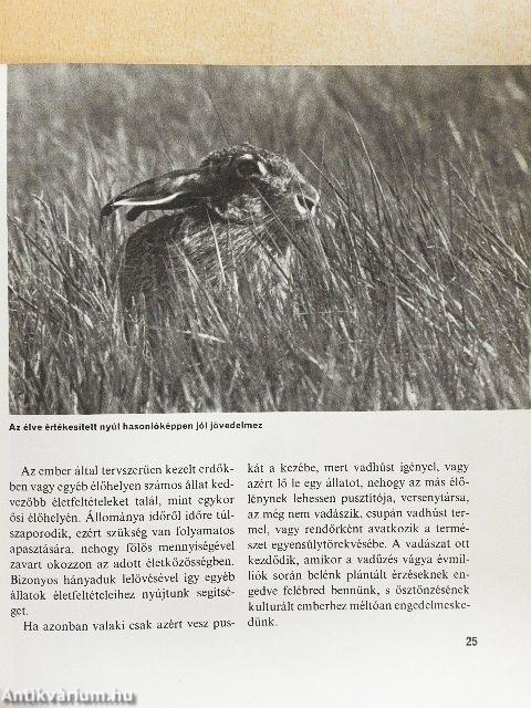 Amerre a madár jár
