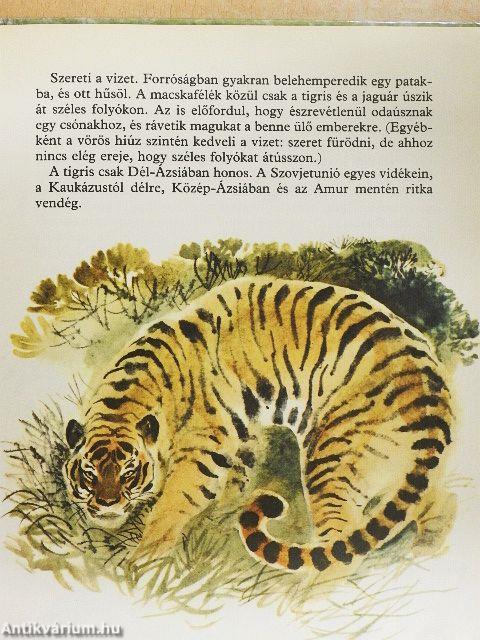 Az állatok világa
