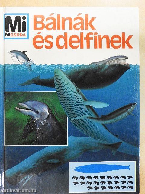 Bálnák és delfinek