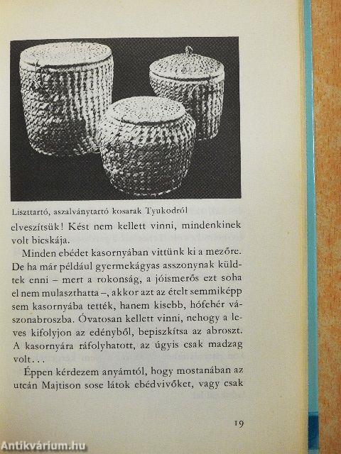 Száz szatmári parasztétel