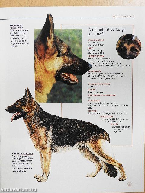 Kutyák nagy enciklopédiája 1.
