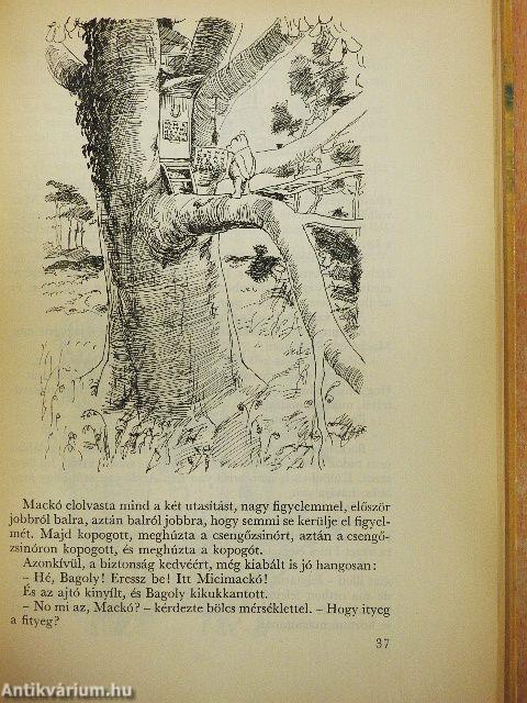 Micimackó/Micimackó kuckója