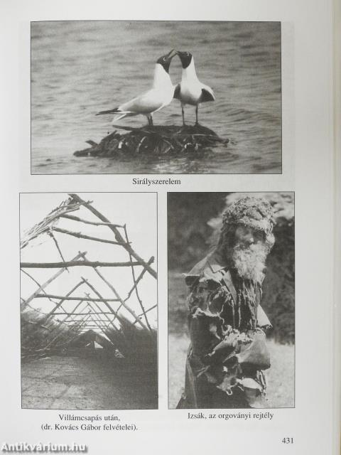 Noé bárkáin (dedikált példány)