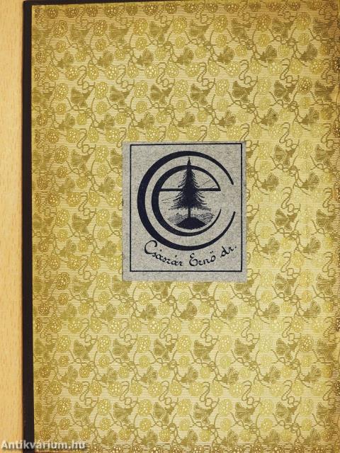 Szent Ágoston és Rákóczi Ferencz vallomásai (dedikált példány)