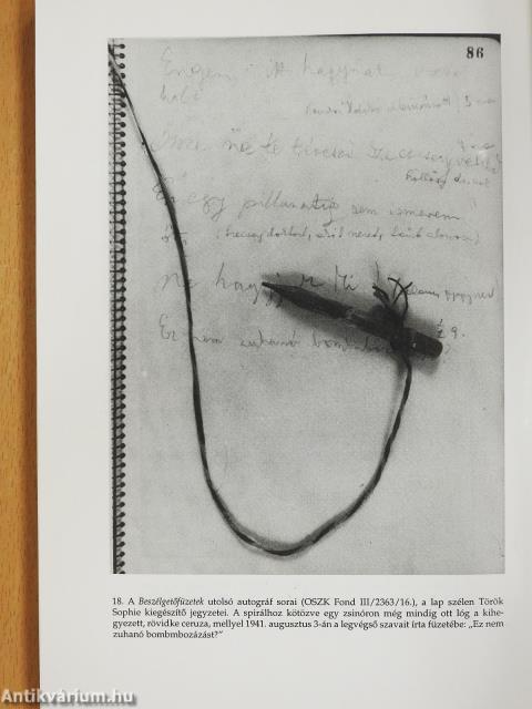 A keletkező szöveg esztétikája (dedikált példány)