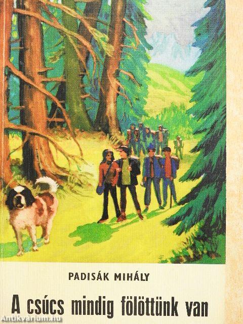 A csúcs mindig fölöttünk van