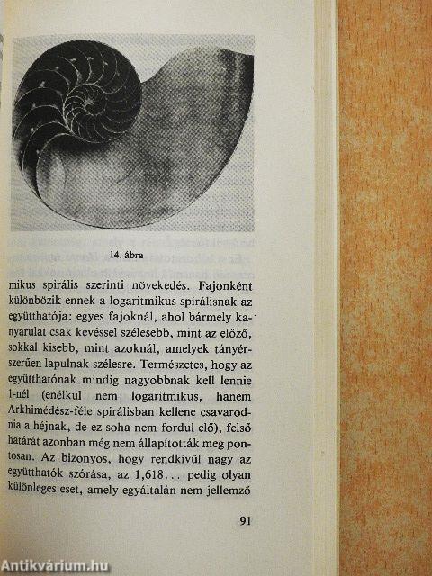 Az aranymetszés legendája