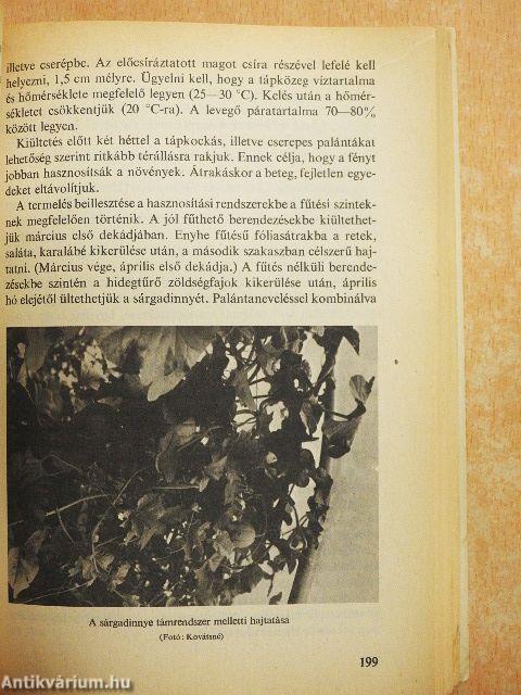 Kertészet fólia alatt