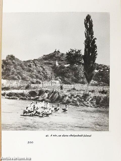 A szigligeti vár
