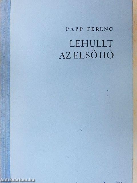 Lehullt az első hó