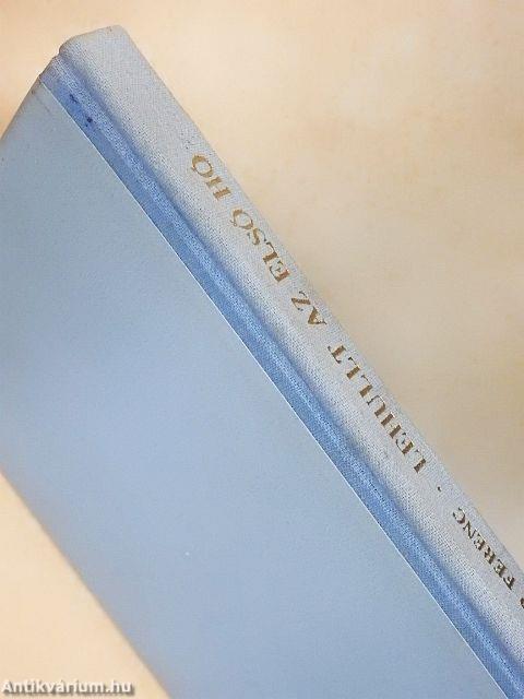 Lehullt az első hó