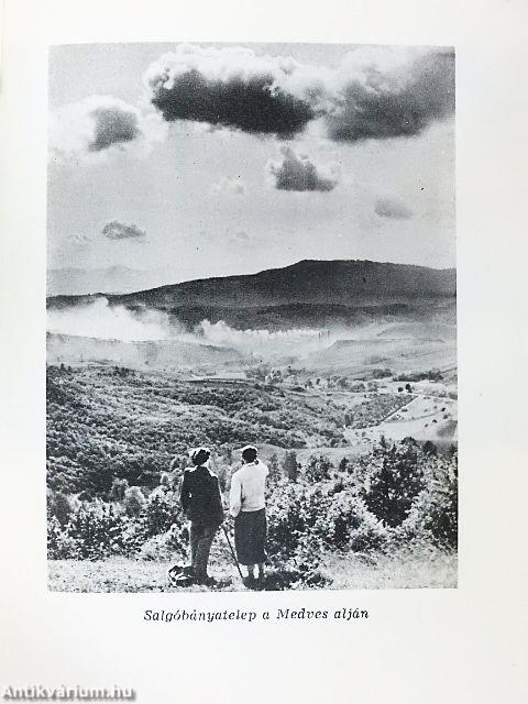 Turisták zsebkönyve