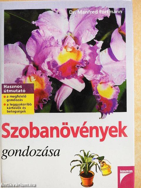 Szobanövények gondozása