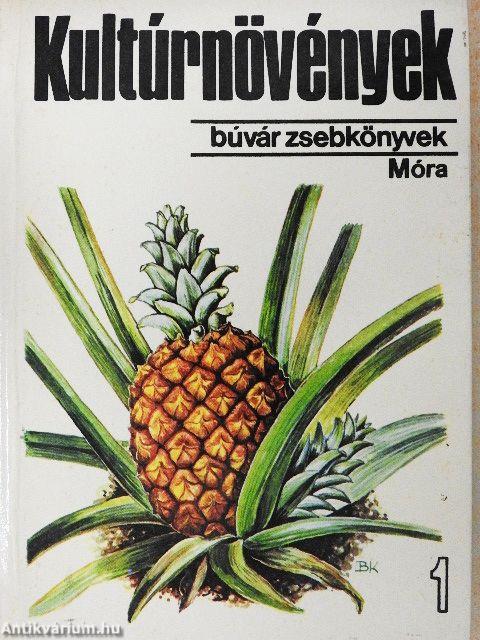 Kultúrnövények 1.