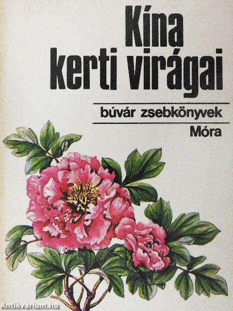 Kína kerti virágai