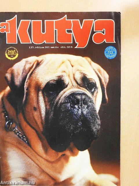 A Kutya 2002. március
