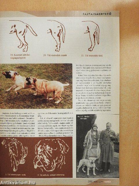 A Kutya 2002. március