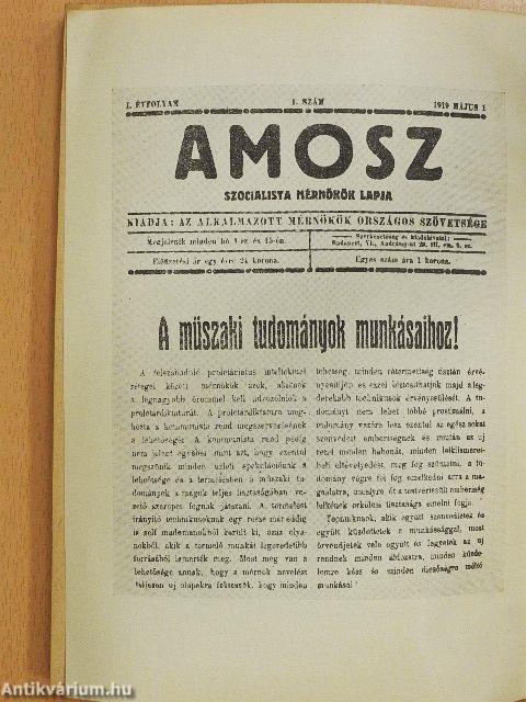 A magyar műszaki értelmiség és a Műegyetem a Tanácsköztársaság idején