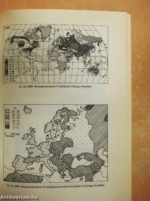 A magyarság genetikája